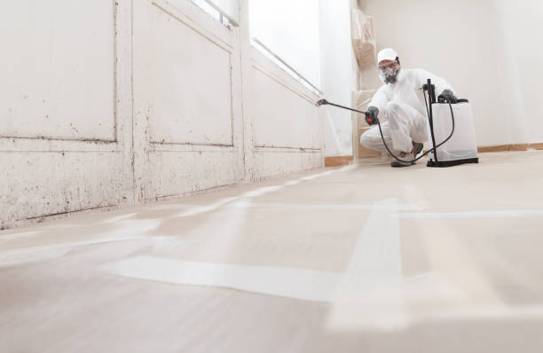 24/7 Emergency Mold Inspection experts in California, PA