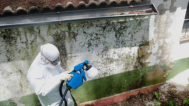 Trusted Crawl Space Mold Removal service in California, PA - Cheap Mold Removal